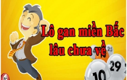 Áp dụng lô gan cực đại