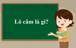 Lô câm là gì?